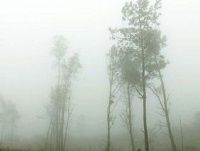 Costa da Morte (2013)