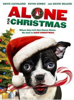 Alone for Christmas (2013)