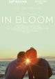 In Bloom