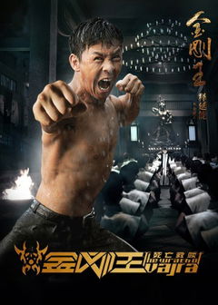 The Wrath of Vajra (2013)