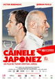 Câinele Japonez