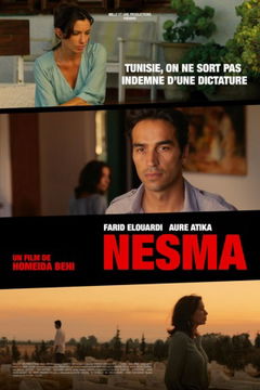 Nesma (2013)
