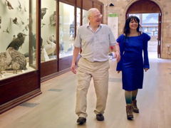 When Björk Met Attenborough (2013)