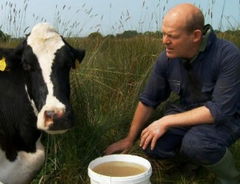 The Moo Man (2013)