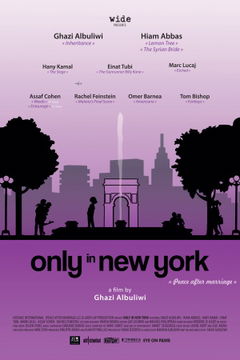 Only in New York (2013)