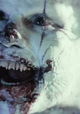 Clown