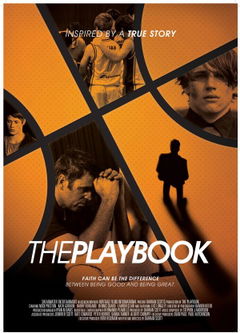 The Playbook (2013)