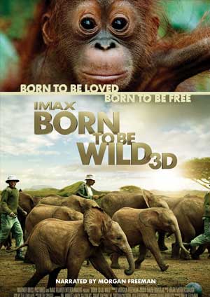 Born to Be Wild