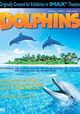 Dolphins
