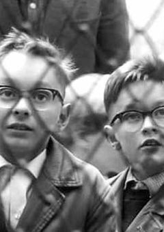 Zoo (1962)