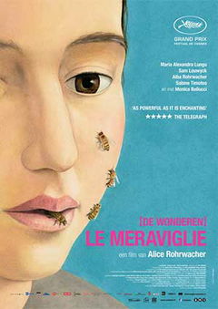 Le meraviglie (2014)