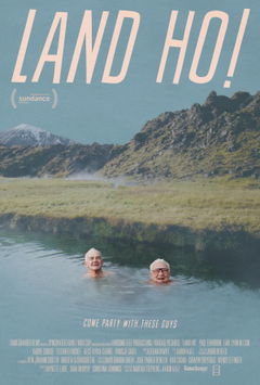 Land Ho! (2014)