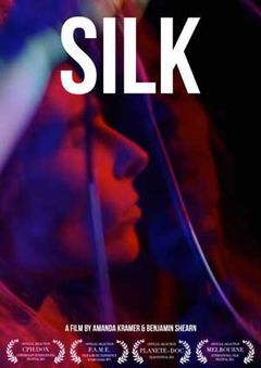 Silk (2013)