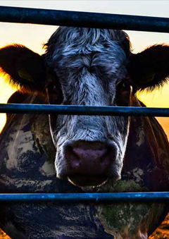 Cowspiracy: The Sustainability Secret (2014)