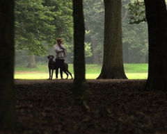 Park (2014)