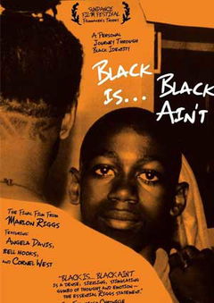 Black is... Black Ain't (1994)