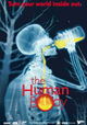 The Human Body