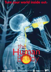The Human Body (2001)