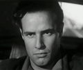 Marlon Brando: An Actor Named Desire