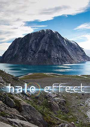 Halo Effect