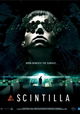 Scintilla