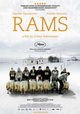 Rams