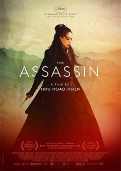 The Assassin (2015)