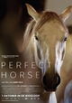 Perfect Horse