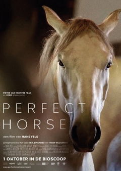 Perfect Horse (2015)