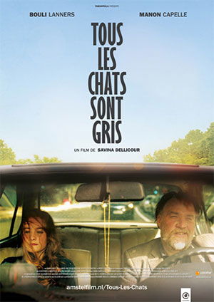 Tous les chats sont gris