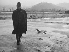 Hiroshima: The Aftermath (2015)
