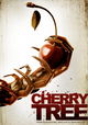 Cherry Tree
