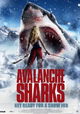 Avalanche Sharks