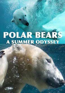 Polar Bears: A Summer Odyssey (2012)
