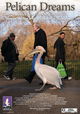 Pelican Dreams