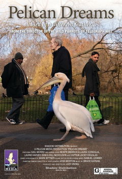 Pelican Dreams (2014)