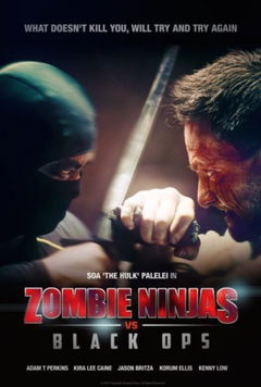 Zombie Ninjas vs Black Ops (2015)