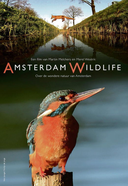 Amsterdam Wildlife