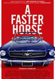 A Faster Horse