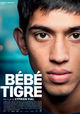Bébé Tigre