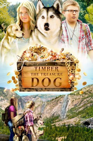 Timber the Treasure Dog