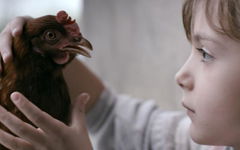 The Chicken (2014)