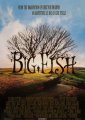 Big Fish
