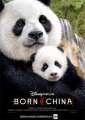 Born in China
