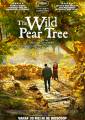 The Wild Pear Tree