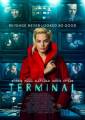 Terminal