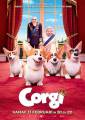 Corgi