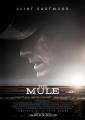 The Mule