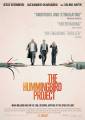 The Hummingbird Project