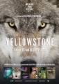 Yellowstone